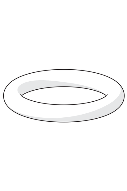 Hansa 59913573 O-ring, d 10x2