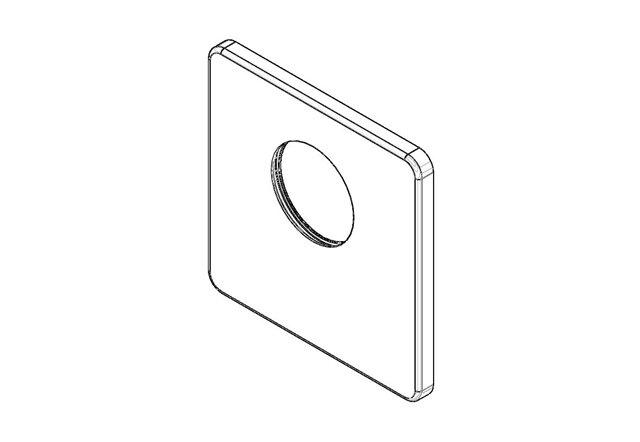 Dornbracht 091102198-06 Rozet platina mat