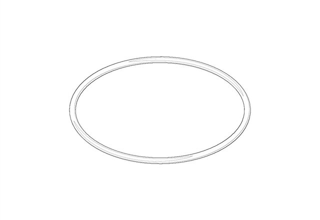 Dornbracht 09141003790 Dichtung