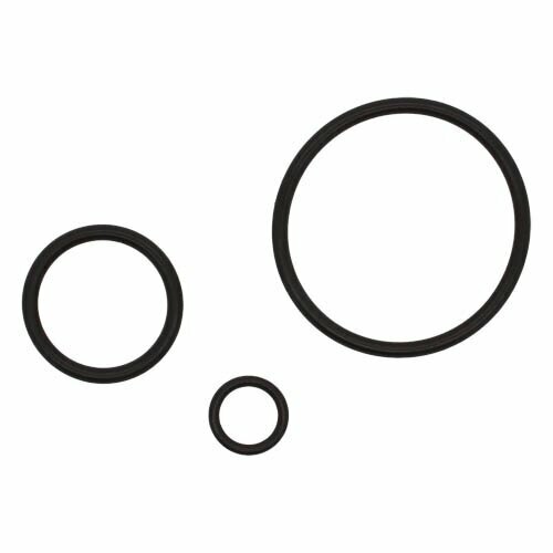 Newform 13313 o-ringen
