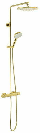 Damixa 5795477 silhouet regendoucheset gepolijst messing pvd hoofddouche 250mm