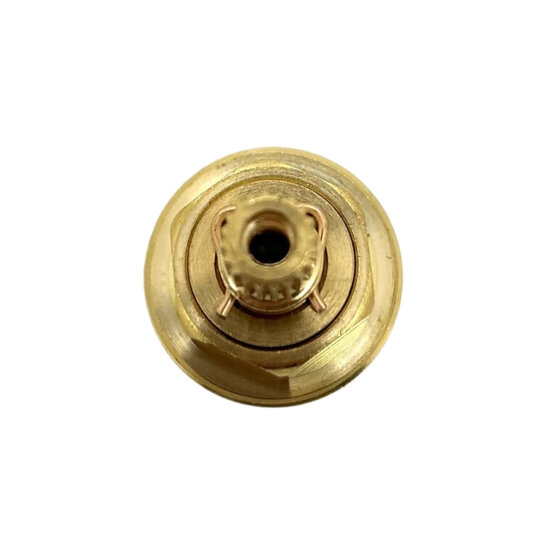 ZVIT051