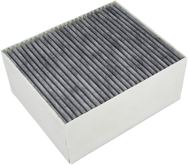 Bosch Siemens 11017314 Actief koolstoffilter CleanAir afzuigkappen AA200110  AA442110
