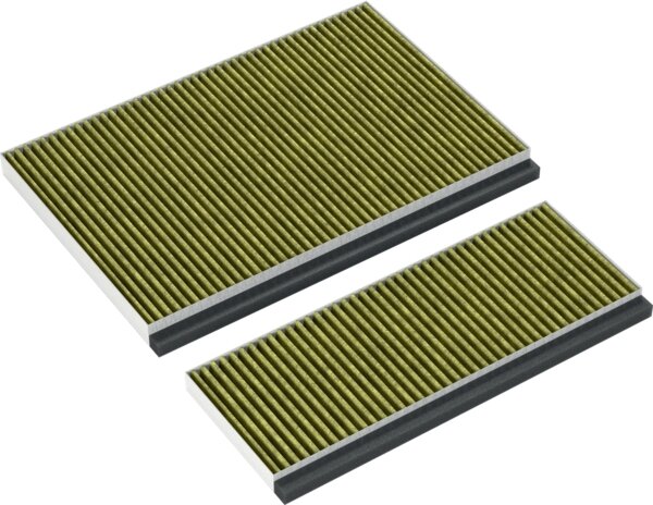 Bosch Siemens 17005388 CleanAir Plus koolfilter (vervanging)