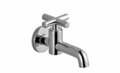 Dornbracht 30010892-06 Tapkraan koud water platina mat