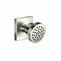 Dornbracht 28528782-06 zijdouche zonder stopkraan platina geborsteld